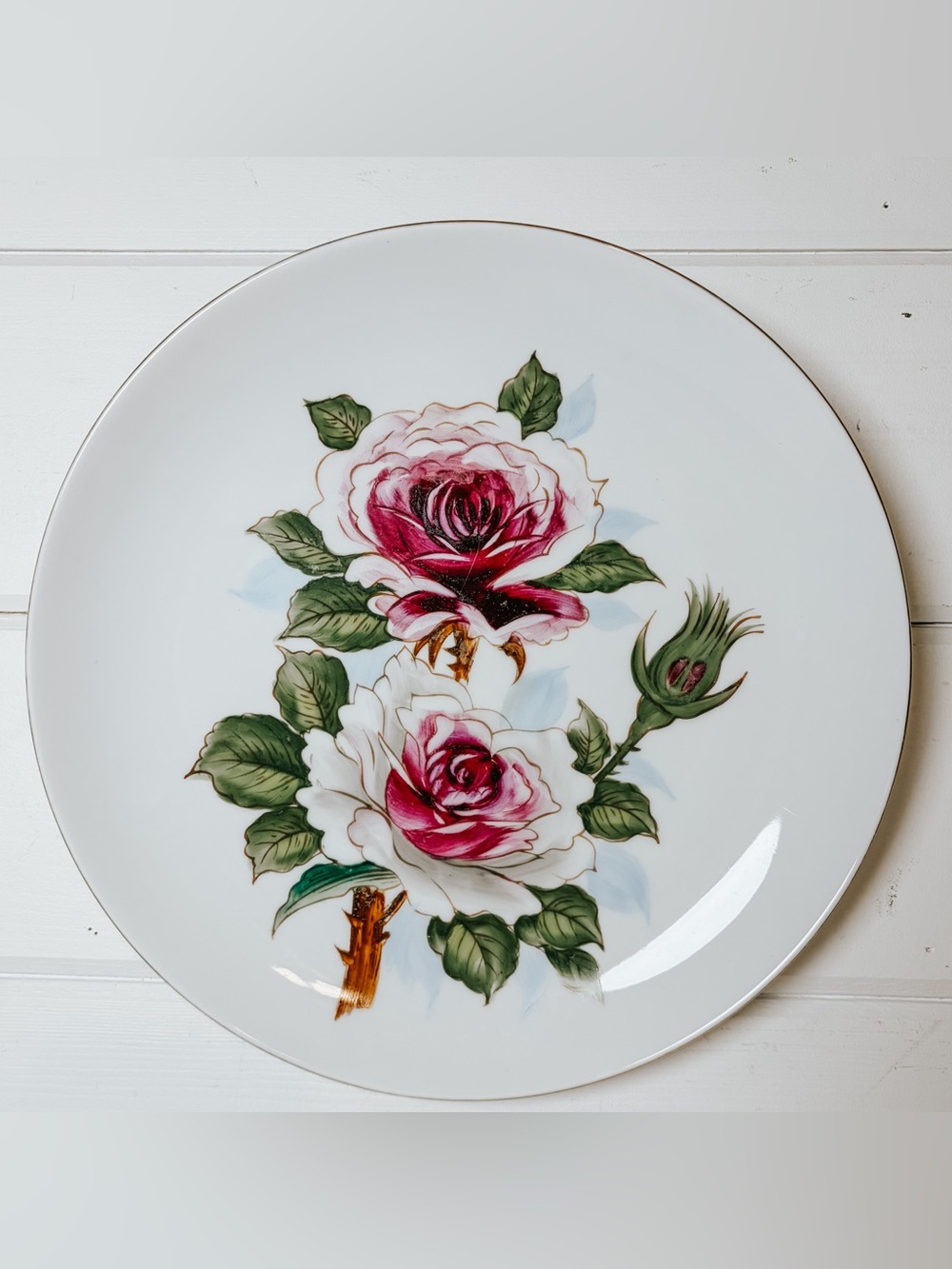 Vintage Floral Handpainted Porcelain Plate | Plate Wall